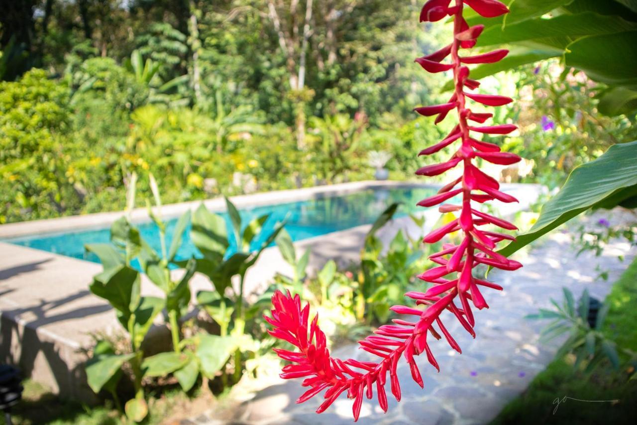 Hotel Casa Merlin Puerto Viejo de Talamanca Esterno foto