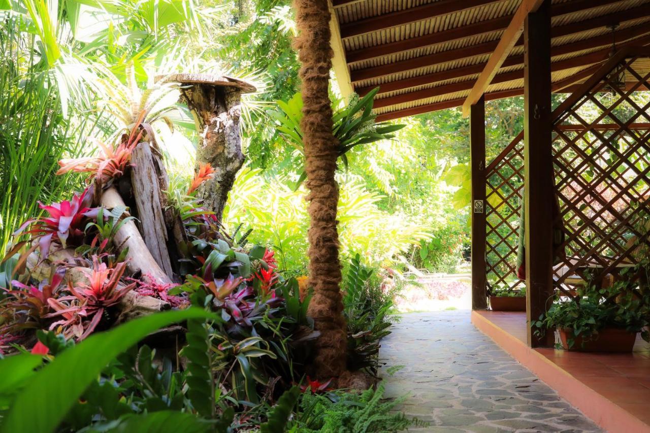 Hotel Casa Merlin Puerto Viejo de Talamanca Esterno foto